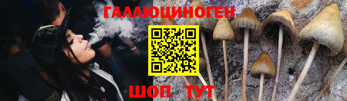 Псилоцибиновые грибы мухоморы Мценск