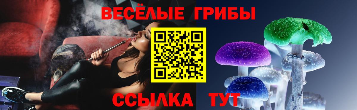 Галлюциногенные грибы Cubensis  Вход с VPN  купить  сайты  Мценск 
